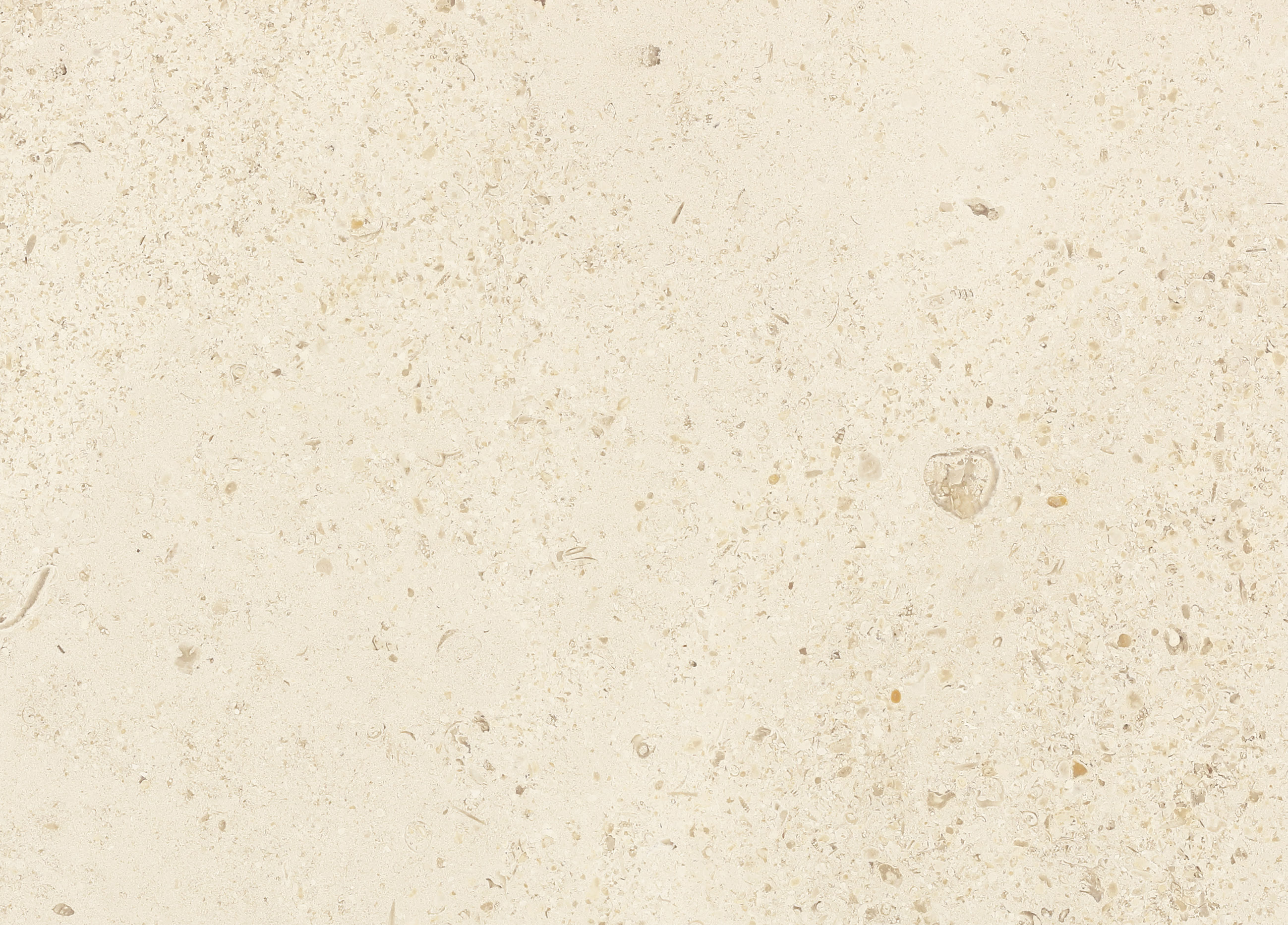 Bodenplatten aus Kalkstein Royal Beige 119x44,7x4 cm dick